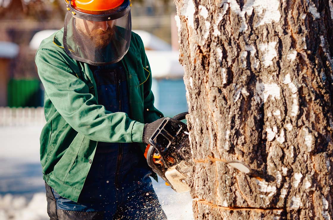 Oberson's Cincinnati Tree Removal Services